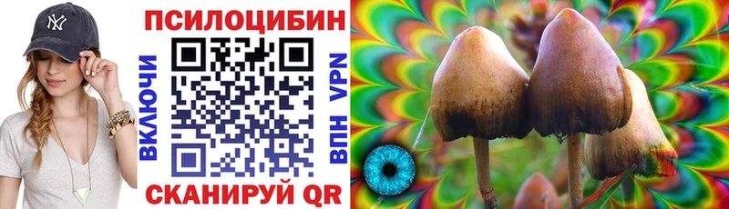 Галлюциногенные грибы Cubensis  Купить  Нерчинск 